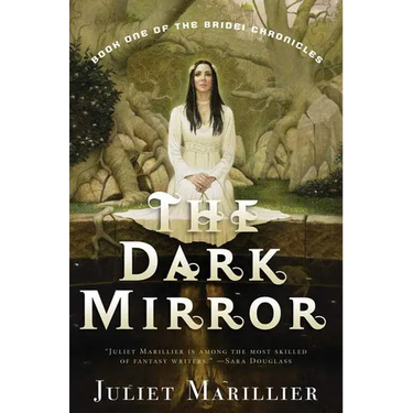 The Dark Mirror: Book One of the Bridei Chronicles
