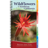 Wildflowers of Southern California: Your Way to Easily Identify Wildflowers