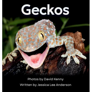 Geckos: Get to Know More About These Vocal Lizards!
