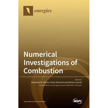Numerical Investigations of Combustion