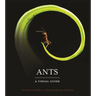 Ants: A Visual Guide