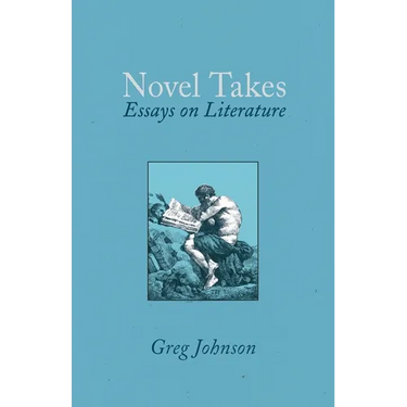 Novel Takes: Essays on Literature