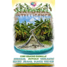 Natural Intelligence: The Technology of Peace
