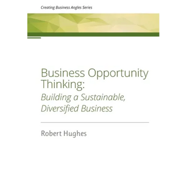 Business Opportunity Thinking: Building a Sustainable, Diversified Business
