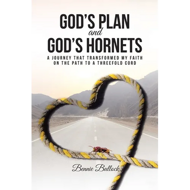 God's Plan and God's Hornets: A Journey That Transformed My Faith on the Path to a Threefold Cord