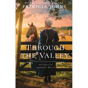 Through the Valley