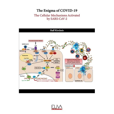 The Enigma of COVID-19: The Cellular Mechanisms Activated by SARS-CoV-2