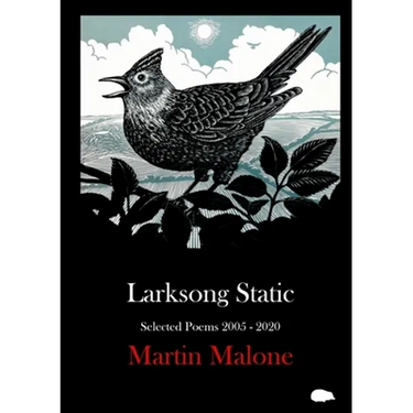 Larksong Static: Selected Poems 2005-2020