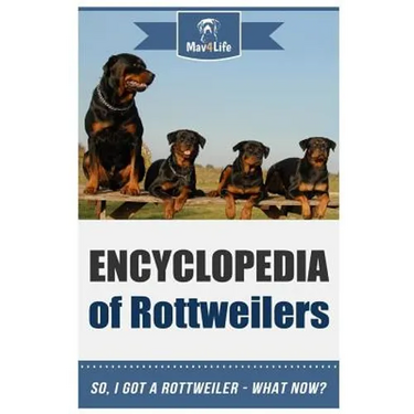 Encyclopedia of Rottweilers: So, I Got a Rottweiler What Now?