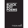 Black Boy Poems: An Account of Black Survival in America
