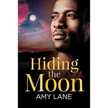 Hiding the Moon: Volume 4