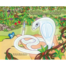 Samjhi the Snake