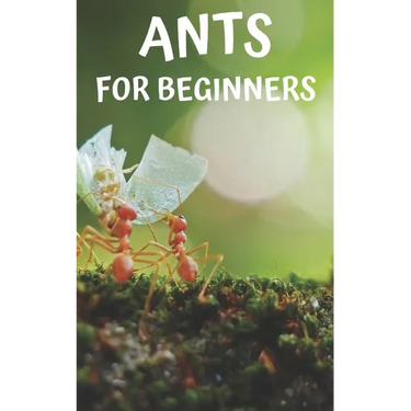Ants for beginners: Guide to successfully keep ants in an ant farm for novices