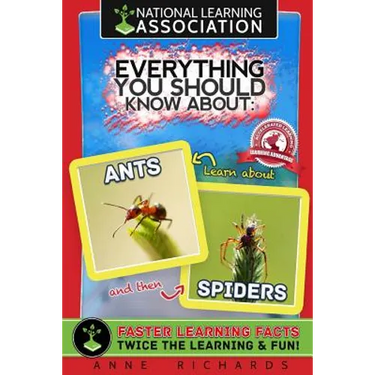 Everything You Should Know About: Ants and Spiders