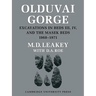 Olduvai Gorge