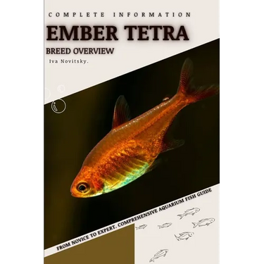 Ember Tetra: From Novice to Expert. Comprehensive Aquarium Fish Guide
