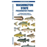 Washington State Freshwater Fishes: A Folding Pocket Guide to Native and Introduced Species