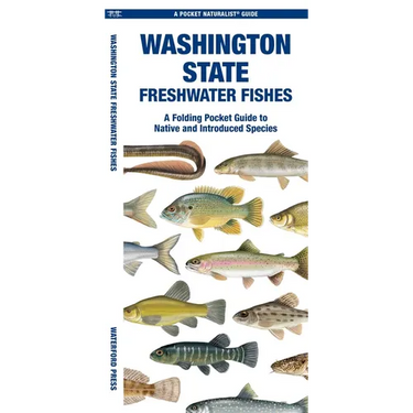 Washington State Freshwater Fishes: A Folding Pocket Guide to Native and Introduced Species