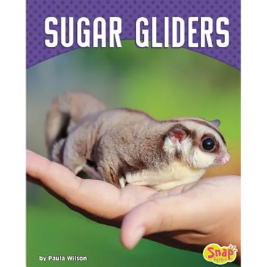 Sugar Gliders