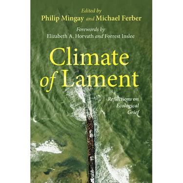 Climate of Lament: Reflections on Ecological Grief