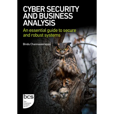 Cyber Security and Business Analysis: An essential guide to secure and robust systems