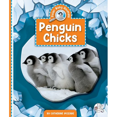 Penguin Chicks