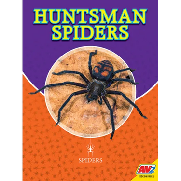 Huntsman Spiders