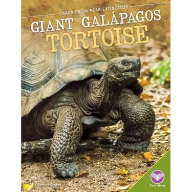 Giant Galбpagos Tortoise