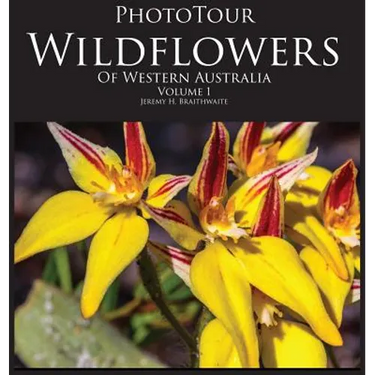 PhotoTour Wildflowers of Western Australia Vol1: A photographic journey through a natural kaleidoscope