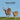 Arkansas Animals and Mammals Kids Wildlife Book: Excellent Wildlife Book about Animals and Mammals in Arkansas