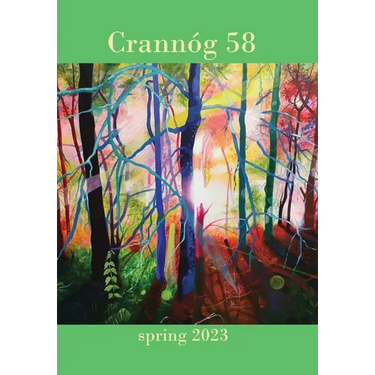 Crannóg 58