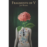 Fragments of V