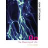 On the Meaning of Life
