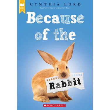 Because of the Rabbit