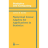 Numerical Linear Algebra for Applications in Statistics