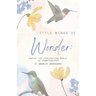 Little Wings of Wonder: Inside the Fascinating World of Hummingbirds