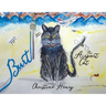 Burt: The Airport Cat