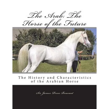 The Arab: The Horse of the Future: The History and Characteristics of the Arabian Horse