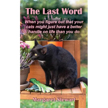 The Last Word: When you figure out that your cats might just have a better handle on life than you do