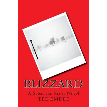 Blizzard: A Sebastian Scott Novel