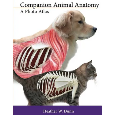Companion Animal Anatomy: A Photo Atlas