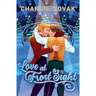 Love At Frost Sight: An MM Christmas Romance