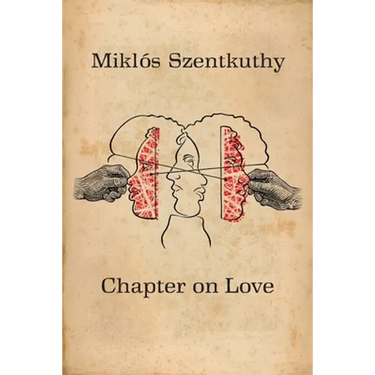 Chapter On Love