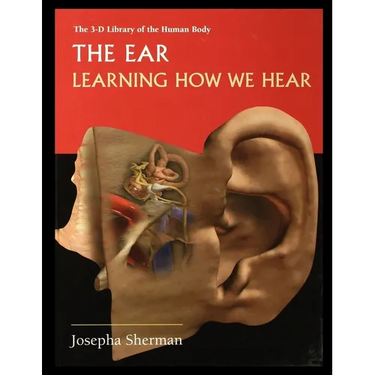 The Ear: Learning How We Hear