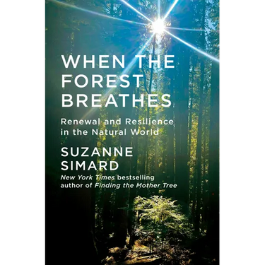 When the Forest Breathes: Renewal and Resilience in the Natural World