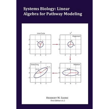 Systems Biology: Linear Algebra for Pathway Modeling