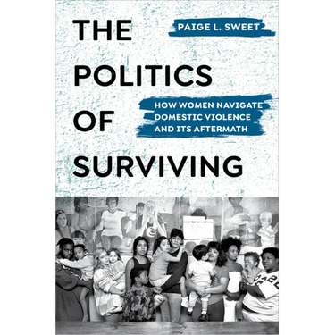 The Politics of Surviving: How Women Navigate Domestic Violence and Its Aftermath