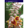 Traveling Cultures and Plants: The Ethnobiology and Ethnopharmacy of Human Migrations