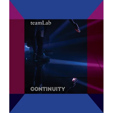 Teamlab: Continuity