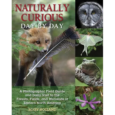 Naturally Curious Day by Day: A Photographic Field Guide and Daily Visit to the Forests, Fields, and Wetlands of Eastern North America
